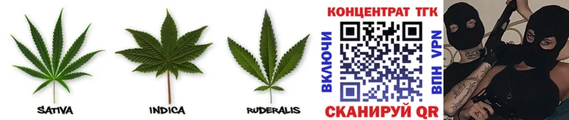 ТГК THC oil  Зеленоградск 